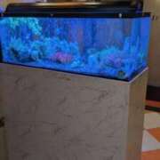 ヒメ日記 2025/01/18 03:42 投稿 おとは タレント倶楽部Around40