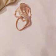 ヒメ日記 2025/02/17 09:08 投稿 おとは タレント倶楽部Around40