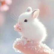 ヒメ日記 2025/03/01 02:56 投稿 おとは タレント倶楽部Around40