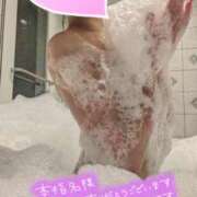 ヒメ日記 2025/04/24 02:30 投稿 おとは タレント倶楽部Around40