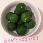 ヒメ日記 2025/08/25 08:48 投稿 おとは タレント倶楽部Around40