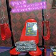 ヒメ日記 2025/08/26 20:10 投稿 おとは タレント倶楽部Around40