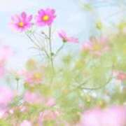 ヒメ日記 2025/08/31 15:26 投稿 おとは タレント倶楽部Around40