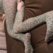 ヒメ日記 2025/09/08 22:50 投稿 おとは タレント倶楽部Around40