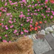 ヒメ日記 2025/10/05 13:54 投稿 おとは タレント倶楽部Around40