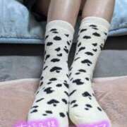 ヒメ日記 2026/01/12 21:50 投稿 おとは タレント倶楽部Around40