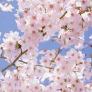 ヒメ日記 2026/04/01 05:36 投稿 おとは タレント倶楽部Around40