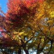 ヒメ日記 2024/12/23 17:54 投稿 はな 池袋おかあさん