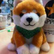 ヒメ日記 2024/12/31 18:24 投稿 はな 池袋おかあさん