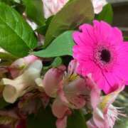 ヒメ日記 2025/02/02 07:34 投稿 はな 池袋おかあさん