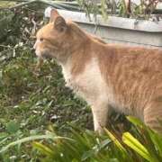 ヒメ日記 2025/02/06 17:54 投稿 はな 池袋おかあさん