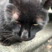 ヒメ日記 2025/02/09 12:58 投稿 はな 池袋おかあさん