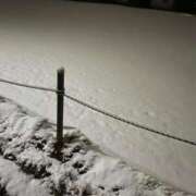 ヒメ日記 2025/03/04 23:44 投稿 はな 池袋おかあさん