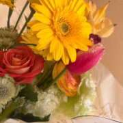 ヒメ日記 2025/03/16 12:44 投稿 はな 池袋おかあさん