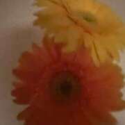 ヒメ日記 2025/06/11 19:30 投稿 はな 池袋おかあさん