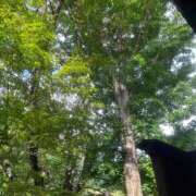 ヒメ日記 2025/08/02 12:44 投稿 はな 池袋おかあさん