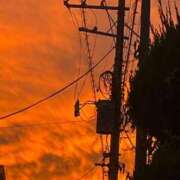 ヒメ日記 2025/09/03 19:05 投稿 はな 池袋おかあさん