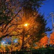 ヒメ日記 2025/10/28 18:54 投稿 はな 池袋おかあさん