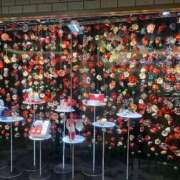 ヒメ日記 2025/12/29 07:56 投稿 はな 池袋おかあさん