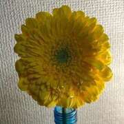 はな お休みします 池袋おかあさん