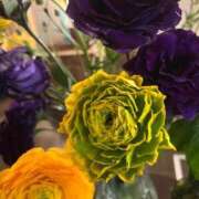 ヒメ日記 2026/02/22 22:34 投稿 はな 池袋おかあさん