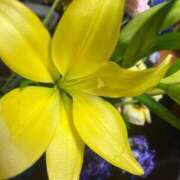 ヒメ日記 2026/03/05 23:04 投稿 はな 池袋おかあさん