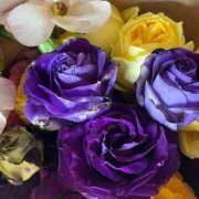 ヒメ日記 2026/04/14 17:44 投稿 はな 池袋おかあさん