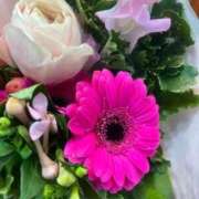 ヒメ日記 2026/04/28 18:34 投稿 はな 池袋おかあさん