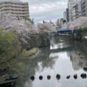 ヒメ日記 2024/04/10 05:24 投稿 宝生 さわ マーベリック横浜