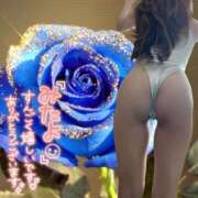 ヒメ日記 2025/01/04 07:44 投稿 宝生 さわ マーベリック横浜