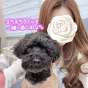 ヒメ日記 2025/01/26 10:44 投稿 宝生 さわ マーベリック横浜