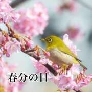 ヒメ日記 2025/03/20 05:34 投稿 宝生 さわ マーベリック横浜