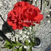 ヒメ日記 2025/05/13 17:54 投稿 宝生 さわ マーベリック横浜