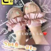 ヒメ日記 2025/05/19 06:34 投稿 宝生 さわ マーベリック横浜