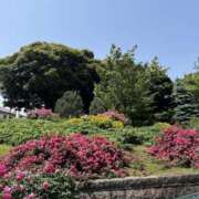 ヒメ日記 2025/05/20 16:44 投稿 宝生 さわ マーベリック横浜