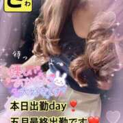 ヒメ日記 2025/05/24 05:34 投稿 宝生 さわ マーベリック横浜