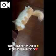 ヒメ日記 2025/07/05 08:07 投稿 宝生 さわ マーベリック横浜