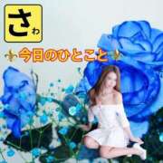 ヒメ日記 2025/07/09 09:44 投稿 宝生 さわ マーベリック横浜