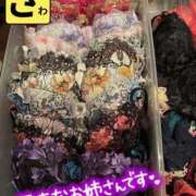 ヒメ日記 2025/08/26 07:54 投稿 宝生 さわ マーベリック横浜