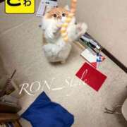 ヒメ日記 2025/10/14 08:34 投稿 宝生 さわ マーベリック横浜