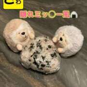 ヒメ日記 2025/10/21 05:44 投稿 宝生 さわ マーベリック横浜