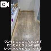 ヒメ日記 2025/11/08 05:44 投稿 宝生 さわ マーベリック横浜