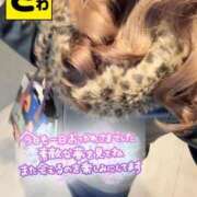 ヒメ日記 2025/11/09 01:04 投稿 宝生 さわ マーベリック横浜