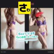 ヒメ日記 2025/11/09 05:14 投稿 宝生 さわ マーベリック横浜