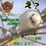 ヒメ日記 2025/11/24 05:34 投稿 宝生 さわ マーベリック横浜