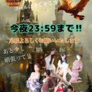 ヒメ日記 2025/11/24 20:14 投稿 宝生 さわ マーベリック横浜