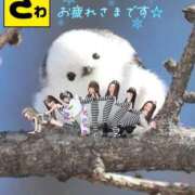 ヒメ日記 2025/12/09 09:44 投稿 宝生 さわ マーベリック横浜