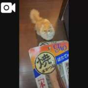 ヒメ日記 2026/10/04 07:04 投稿 宝生 さわ マーベリック横浜