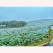 ヒメ日記 2025/04/30 22:50 投稿 とき ドリーム水戸