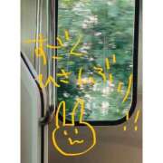 ヒメ日記 2026/07/31 15:36 投稿 とき ドリーム水戸